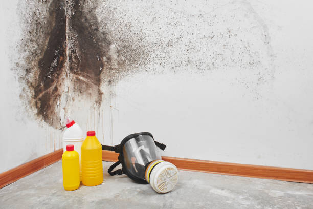Best Mold Cleaning Services  in Helper, UT