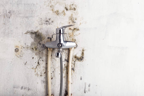 Best Commercial Mold Removal  in Helper, UT
