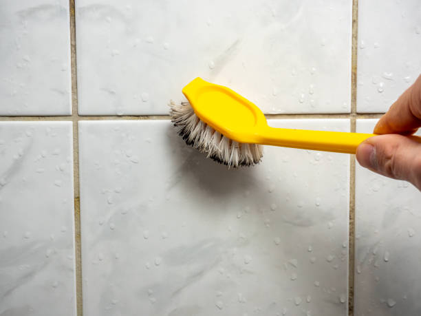 Best Mold Remediation Services  in Helper, UT
