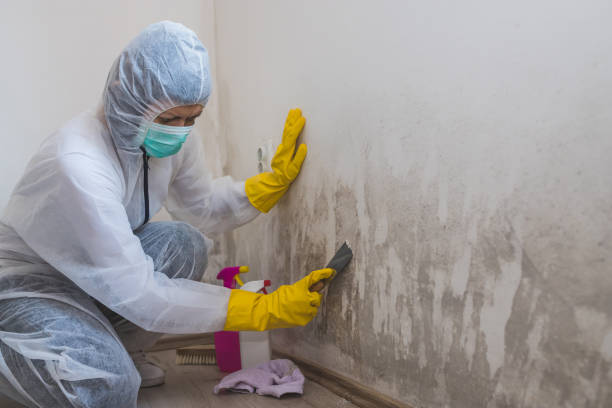 Best Mold Testing  in Helper, UT