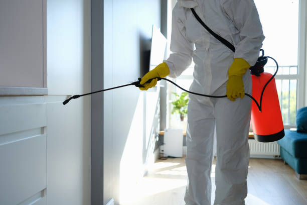 Best Office Mold Removal Services  in Helper, UT