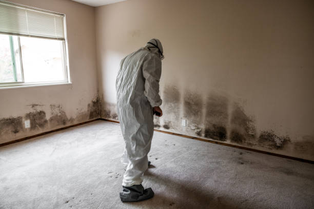 Best Crawl Space Mold Removal  in Helper, UT